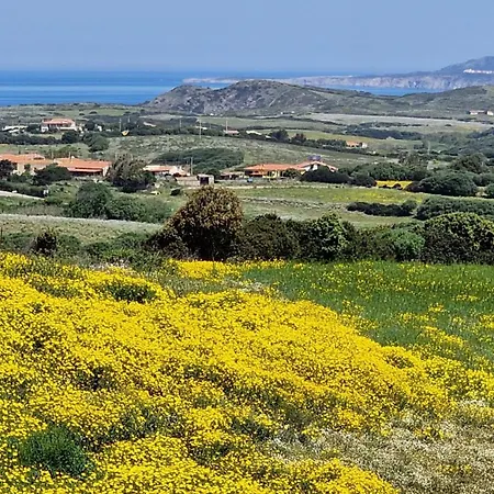 Sa Corte In Nurra Biancareddu