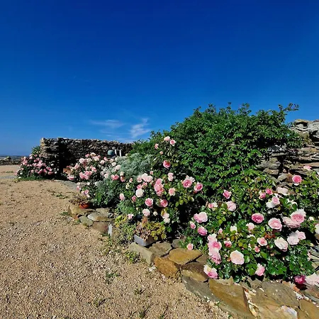 Sa Corte 3* Biancareddu