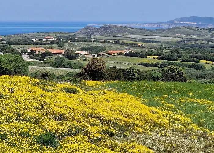 Sa Corte Biancareddu