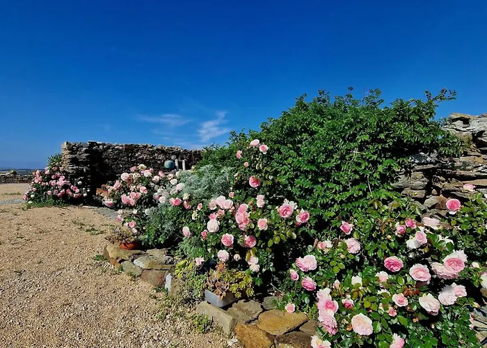 Sa Corte In Nurra 3* Biancareddu