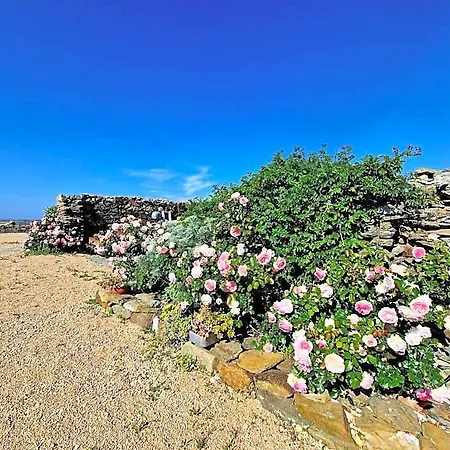 Sa Corte In Nurra Bed & Breakfast Biancareddu